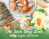 ĂN SẠCH SỐNG XANH CÙNG ORGANIC RESTAURANT