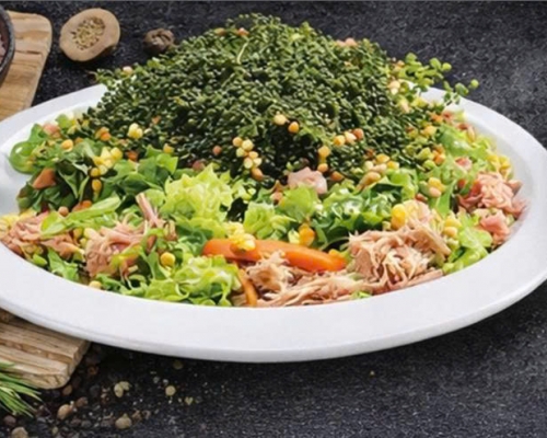 SALAD RONG NHO