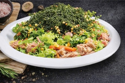 SALAD RONG NHO
