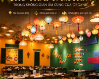 THƯ THÁI TÂM HỒN TRONG KHÔNG GIAN HỘI AN CỔ KÍNH