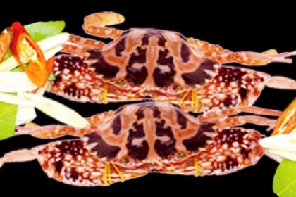 Ghẹ hấp Ghẹ hấp