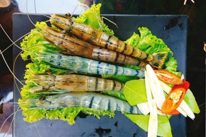 Tôm sú hấp Tôm sú hấp